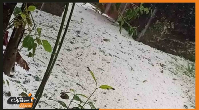 बिहार के मोतिहारी में कश्मीर का हो रहा है एहसास , बर्फ से पटी खेत और सड़कें, देखें विडियो motihari-snowfall