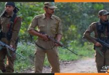 RSMSSB ने फॉरेस्टर और फॉरेस्ट गार्ड के पदों पर निकाली बंपर भर्ती Forest-guard-job
