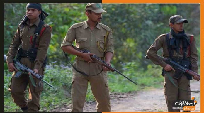 RSMSSB ने फॉरेस्टर और फॉरेस्ट गार्ड के पदों पर निकाली बंपर भर्ती Forest-guard-job
