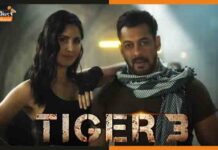 Tiger 3 Date Announcement: ईद के मौके पर वापसी कर रहे हैं टाइगर और जोया tiger 3
