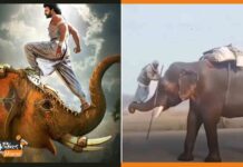 बिना VFX के इस बुजुर्ग ने दुहराया बाहुबली का सीन, विडियो हुआ वायरल viral-video