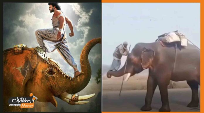 बिना VFX के इस बुजुर्ग ने दुहराया बाहुबली का सीन, विडियो हुआ वायरल viral-video