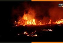 गुरुग्राम में भीषण आग से 50 एकड़ में बनी झुग्गियां राख, 1 की मौत 6 घायल Gurugram