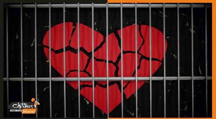 ऑनलाइन लूडो खेलते खेलते प्यार हुआ फिर प्रेमी को हो गया जेल love