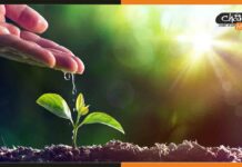 Bihar : 10 रूपए की सुरक्षित राशि पर सरकार से खरीदें पौधा और 3 साल बाद इतने पैसे वापस ले जाएं Department of Environment, Forest & Climate Change