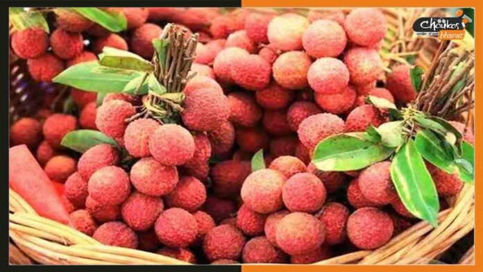 Shahi-Litchi Shahi-Litchi