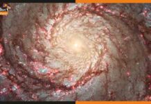 नासा ने शेयर की व्हर्लपूल गैलेक्सी की अद्भुत तस्वीर, नहीं हट रही नज़र Whirlpool Galaxy