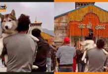 केदारनाथ धाम में कुत्ते के साथ पूजा करना पड़ा भारी, FIR हुआ दर्ज husky kedarnath
