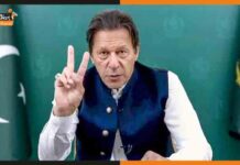 इमरान खान फिर संभालेंगे तहरीक-ए-इंसाफ पार्टी की कमान, बने अध्यक्ष Imran Khan