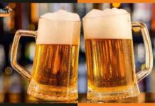 Singapore का अद्भुत कमाल, पेशाब से बनाया Beer beer