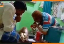 सोशल मीडिया पर वायरल हो रहा है वीडियो अब तक आपने देखा या नहीं, लोग दे रहे प्रतिक्रिया viral