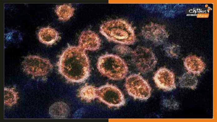 Langya Virus