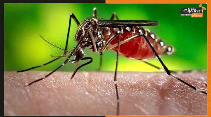 बिहार पर टूटा डेंगू का कहर, तेजस्वी ने की समीक्षा बैठक Dengue