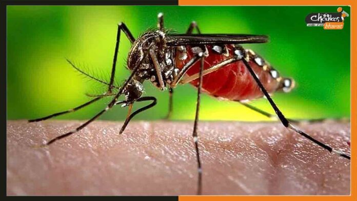Dengue