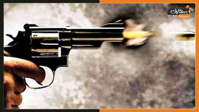Gun