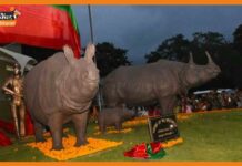 जले हुए सींगों से बनी 3 गैंडे की मूर्तियों का काजीरंगा में हुआ उद्घाटन Kaziranga-National-Park