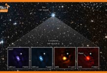 जेम्स वेब टेलीस्कोप ने किया कमाल! खींची हमारे सौर मंडल के बाहर किसी ग्रह की पहली तस्वीर