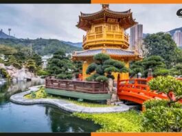 Hong-Kong