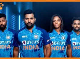cricket