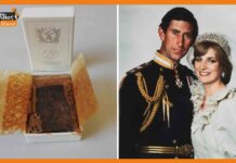 किंग चार्ल्स और राजकुमारी डायना की शादी का 41 साल पुराना केक होगा नीलाम! king-charles-and-princess-diana
