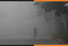 Bihar Weather Update: बढ़ने लगी ठंड, ग्रामीण इलाकों में छा रहा कोहरा Fog