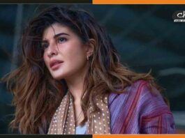जैकलीन फर्नांडिस की जमानत पर कल होगा फैसला, मनी लॉन्ड्रिंग का केस Jacqueline Fernandez