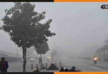 Bihar Weather Update: उत्तर बिहार में पछुआ हवाओं से छाया कोहरा, प्रदेशभर में दिख रहा असर Winter-in-Bihar