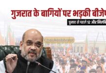 गुजरात के बागियों पर भड़की बीजेपी, चुनाव से पहले 12 और निलंबित गुजरात के बागियों पर भड़की बीजेपी, चुनाव से पहले 12 और निलंबित