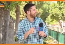 Viral Video: रिपोर्टर करते रह गया लाइव रिपोर्टिंग, तोता ले उड़ा ईयर पॉड parrot stealing earphones