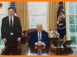 trump musk
