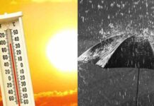 केरल में भारी बारिश की भविष्यवाणी, दिल्ली, मुंबई में बूंदाबांदी; बिहार भीषण गर्मी की चपेट में | आईएमडी पूर्वानुमान