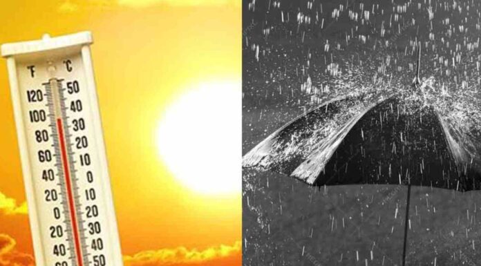 केरल में भारी बारिश की भविष्यवाणी, दिल्ली, मुंबई में बूंदाबांदी; बिहार भीषण गर्मी की चपेट में | आईएमडी पूर्वानुमान