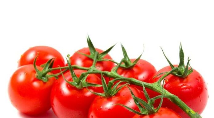 गैंग ने बेंगलुरु के पास 2.5 टन टमाटर से लदे ट्रक को हाईजैक कर लिया